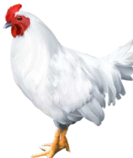 parrilleroterminador